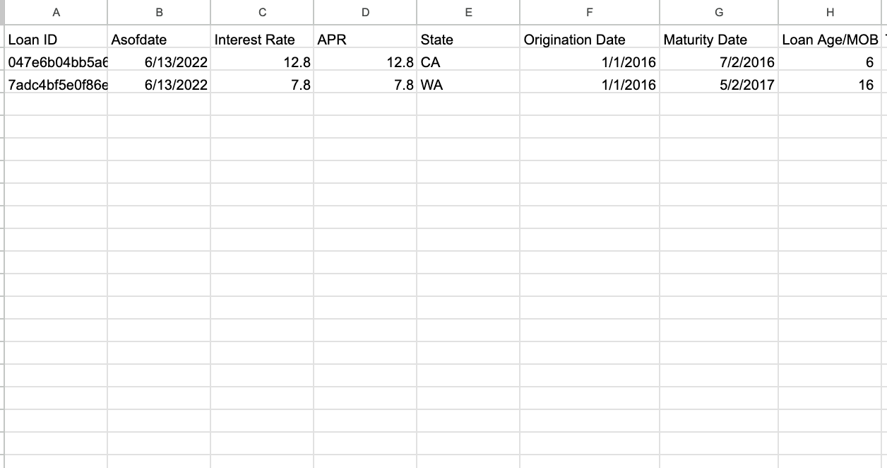 Loan Tape Template for Warehouse Facility